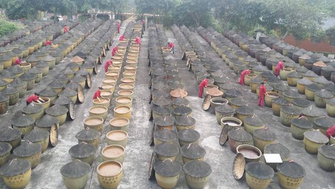 年匠心酿岁月 薪火相传谱新篇麻将胡了试玩平台江津酿造：百(图1)