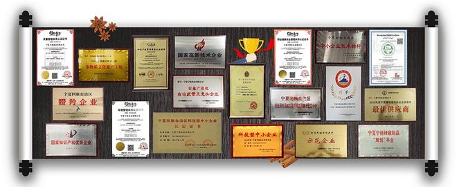 心传承：宁杨食品让西北美食走出宁夏PG麻将胡了免费模拟器以塞上风味匠